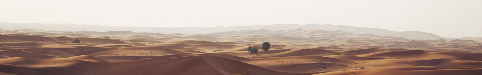 鹤ó޹˾